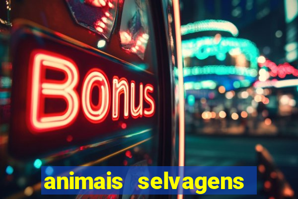 animais selvagens fotos e nomes